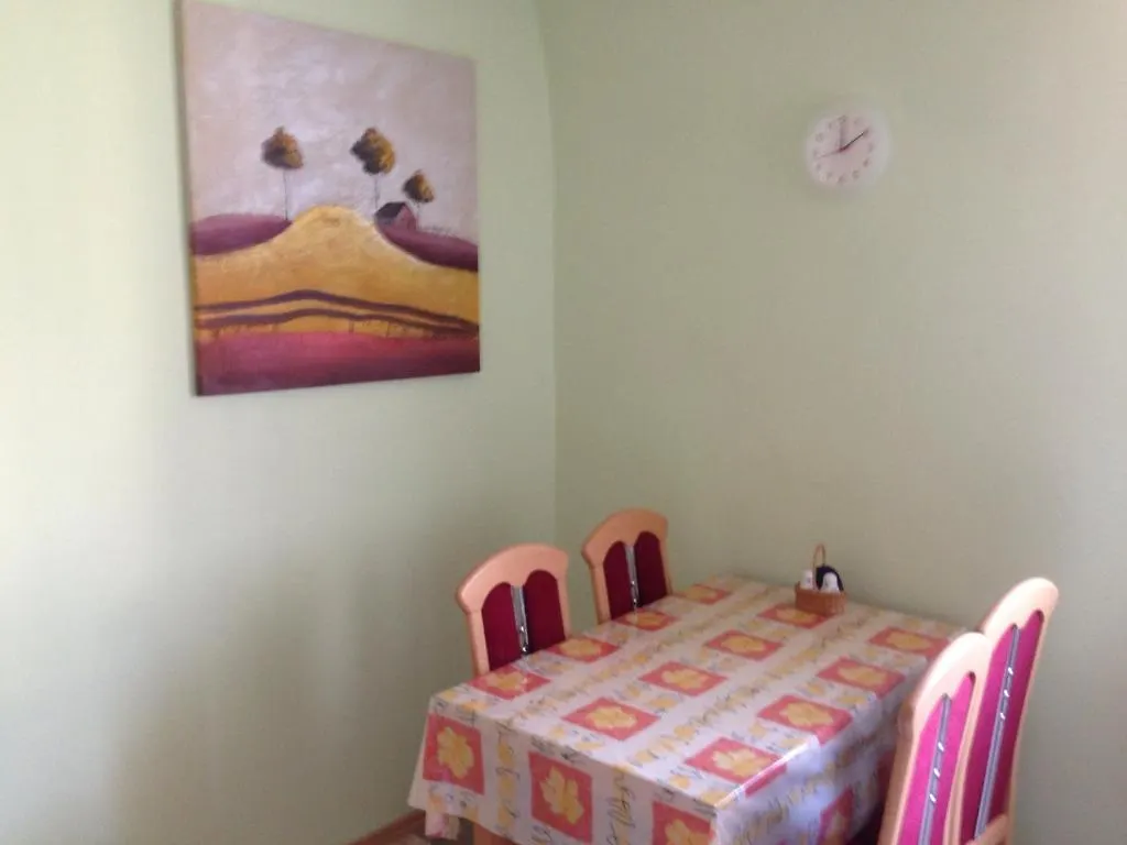 City Apartment In Nuernberg Nuremberg