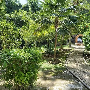  Villa Mini Pini Bird Watching Loft Mexiko